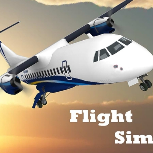 Flight Similator
