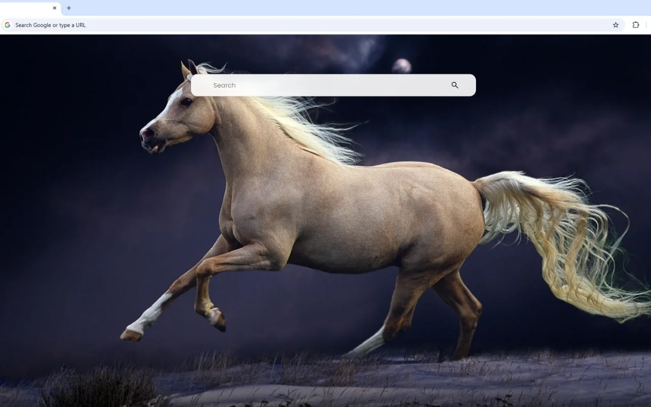 Horse Wallpaper