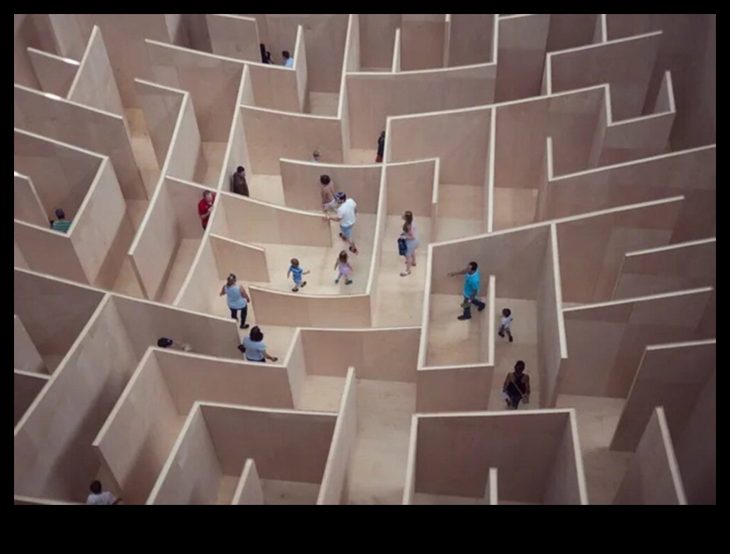 The College Admissions Maze 1